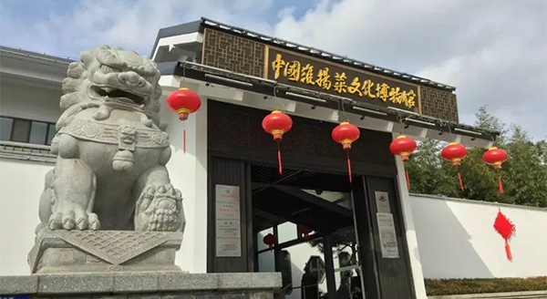 人间至味是淮扬 | 探店vlog分享，这座博物馆很“香”