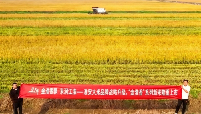 淮安大米新米上市！“金淮香”系列隆重登场