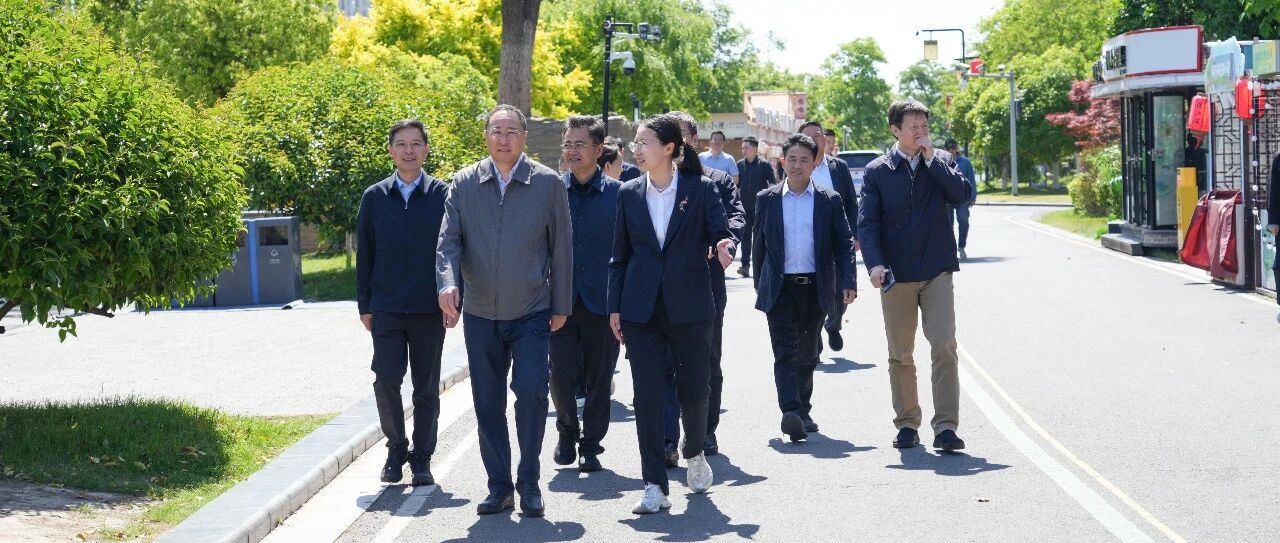 周青调研市文旅集团