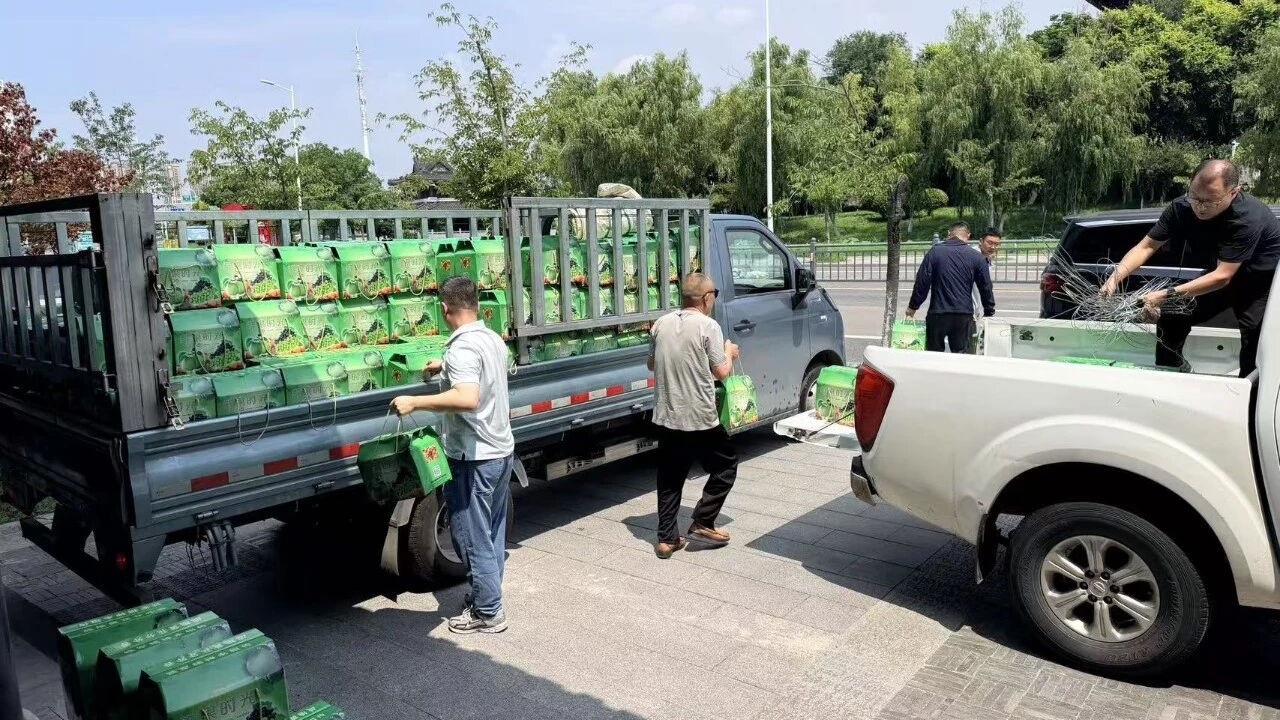 梨香传温情 助农惠民生｜市文旅集团助力果农拓宽销路
